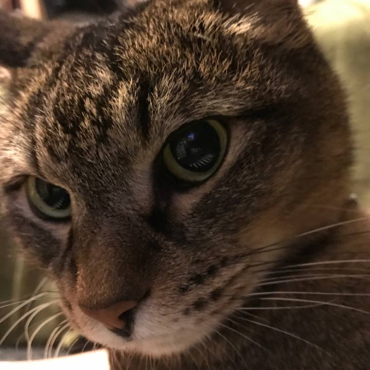 974fc398 6022 4640 9abf bac8d1c319ea 1564144427069