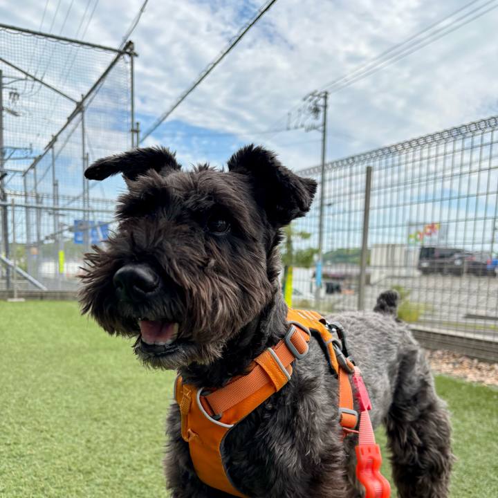 97507a68 dd0a 410f 814c 2dede3c5cb75 1749035547076