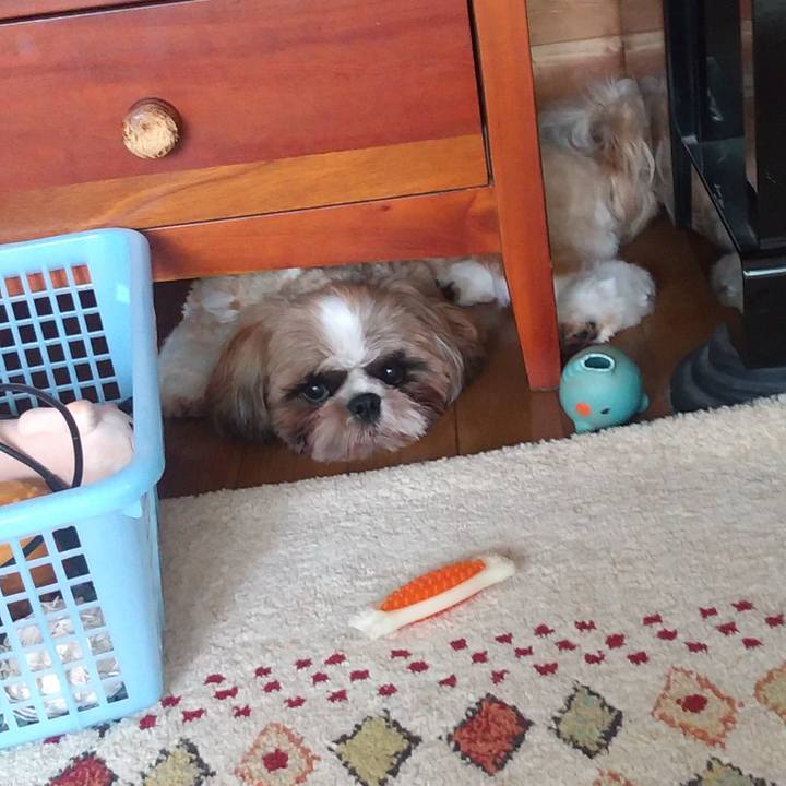 97508e79 f67d 4258 a26f a65a85a53490 1594087970092