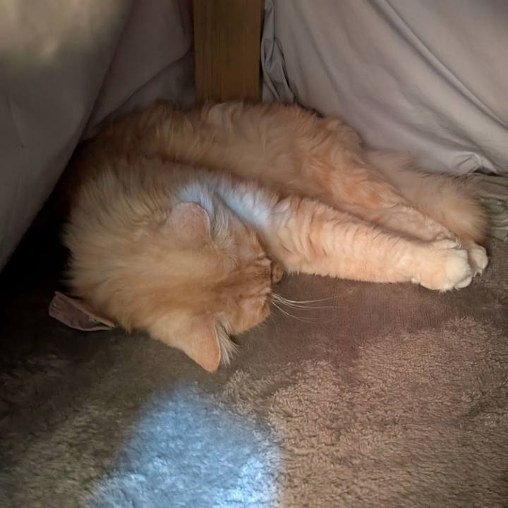 97508fcc 0b1a 4b11 aae5 020d672fb9f7 1735961125736