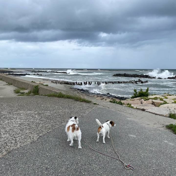 97509c39 53b5 47e1 b363 823755e41de4 1684883019350