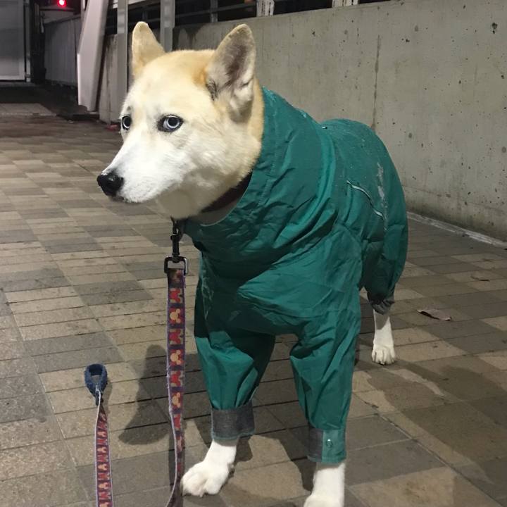 97509d6e 6533 4dca 91b4 78e2ef041adf 1668935695436