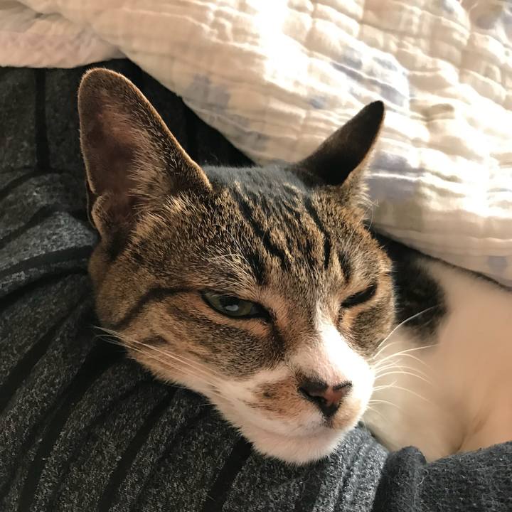 9750a283 b5ac 48a6 8a6a 69b846bf6a11 1524620352506