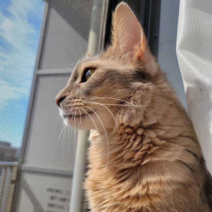 9750aab0 630d 44d3 9090 8d7ead6e12be 1666491839893