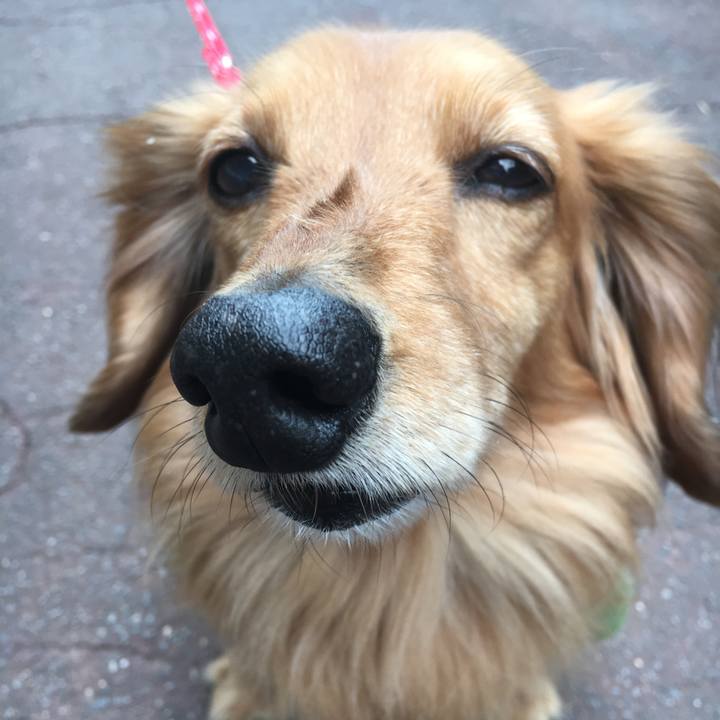 9750c1f2 a6db 44ad be97 c22705e0bb59 1523449841074