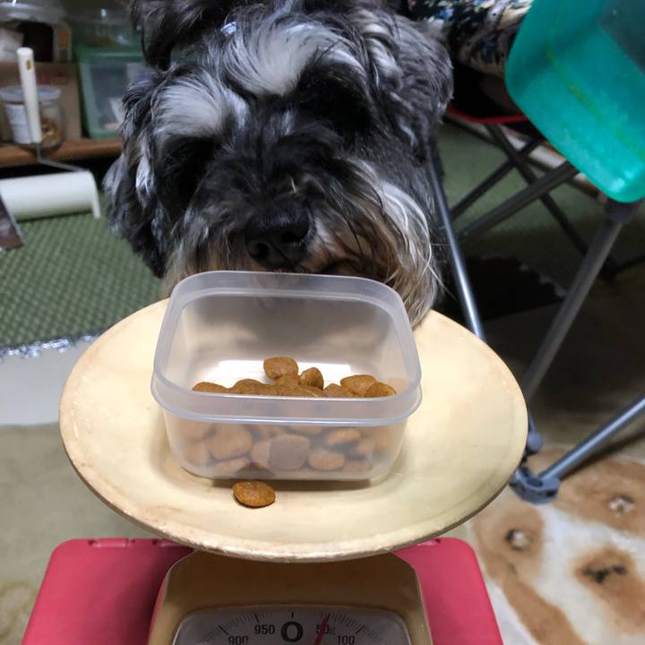 9750c571 2dc0 47e2 873d 788d486f5f93 1562591621390