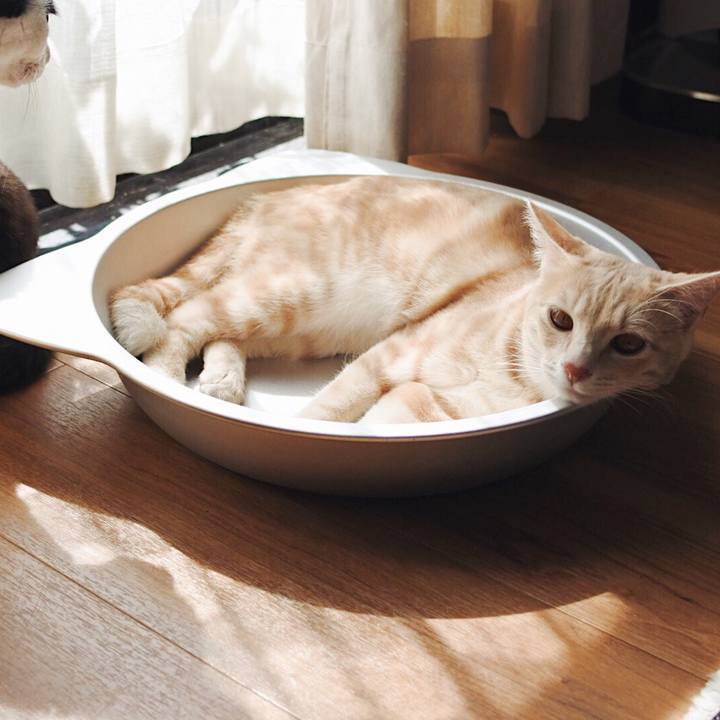 9750dd93 ac9f 4c93 b7b3 696f7f8fc804 1559562490261