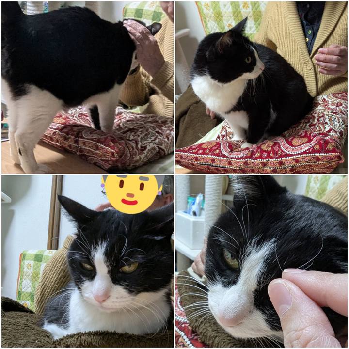 9750e4f5 19a5 4605 8532 24c52d5c8d1a 1740024441194