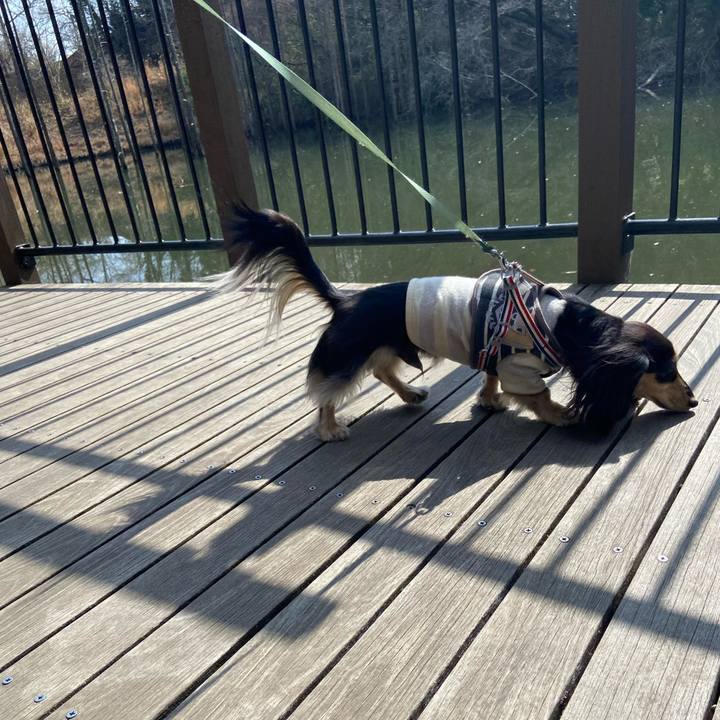 9750eb65 af76 4be9 a06e bd2da6e62b6a 1740885693982