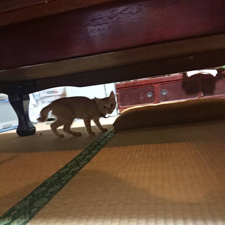 9750f22a 87e5 4f4a afed e4066aee9590 1629975307619