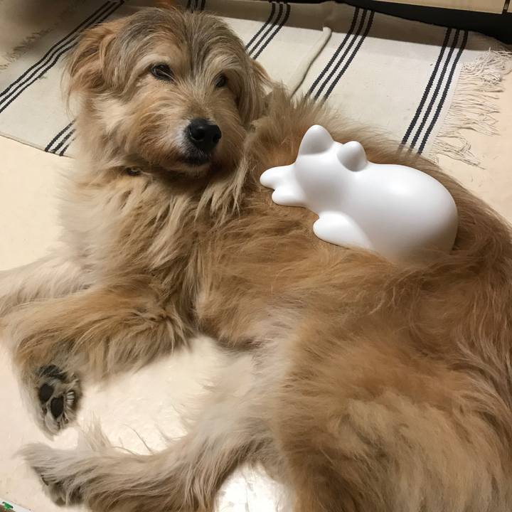 975128c4 2ee5 4b35 abb7 2e84f3302a55 1575256382633