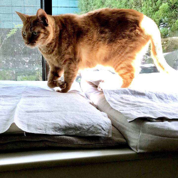 9751297a d88c 44e2 88e1 482c7ac4d8d3 1557886291971