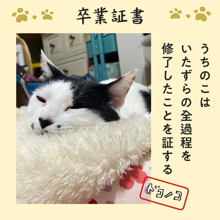 975147fd fb36 40fe 9de6 e75a8f5db565 1771851873559