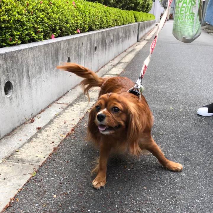 97515cf4 d694 4dc5 8c16 6af94ef09bd1 1588466630569