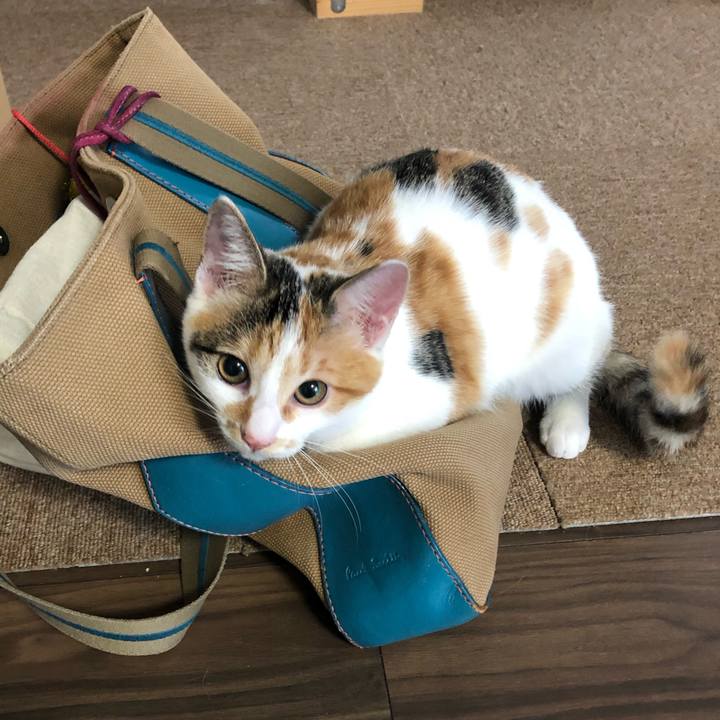 9751743c ca94 42a6 af8f 2a106c1d5f37 1568849843227