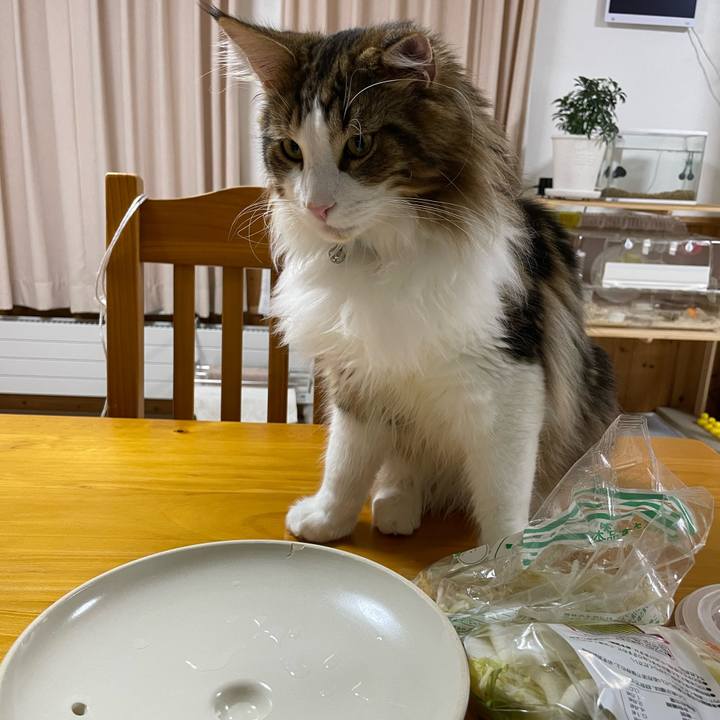 97519016 3683 4f9a adb1 eab686f76046 1645700508218