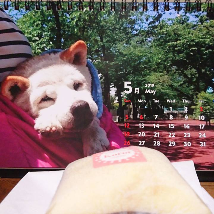 9751920f fb07 43bc 9db5 3d33f7cdb0d6 1556711222471