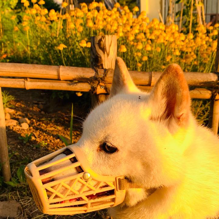 9751b3d8 e41c 4fbd 89ac b7b9e59253e7 1657829368414