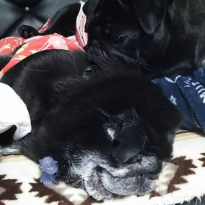 97525742 dd0a 4203 984f 165c4bfe3182 1548865629669