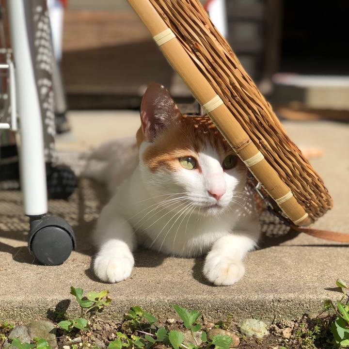 97527007 c4c6 4330 9ae2 e38ce02b13d9 1538630667812