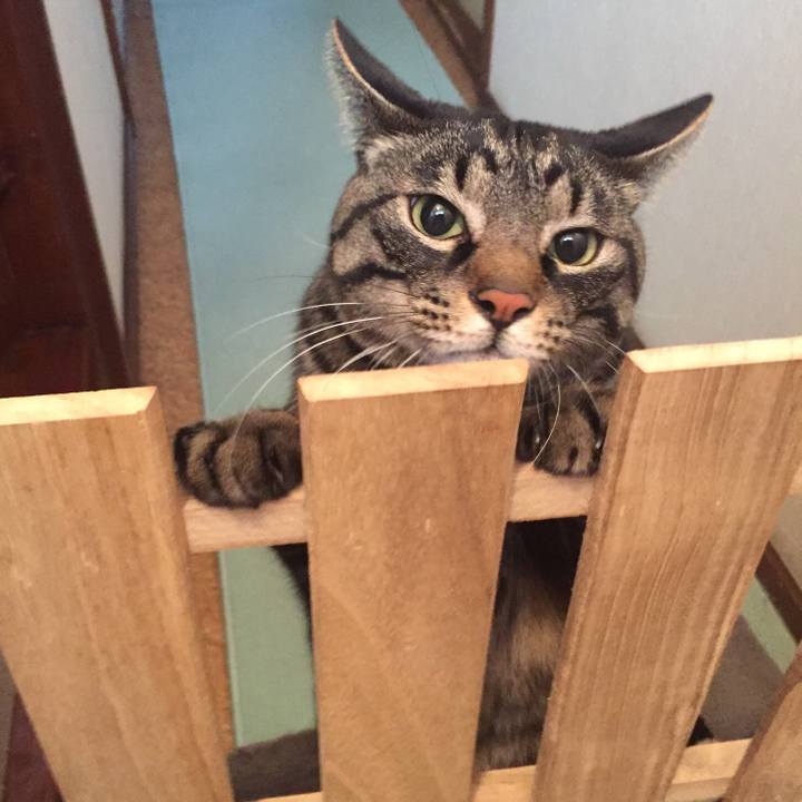 97527d49 2de0 4289 9a0d e1e2bf7e9eba 1524991136185