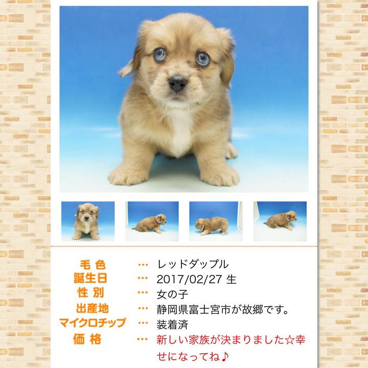 97528862 5aa8 47e6 9326 b49c8a1b590d 1557401015404