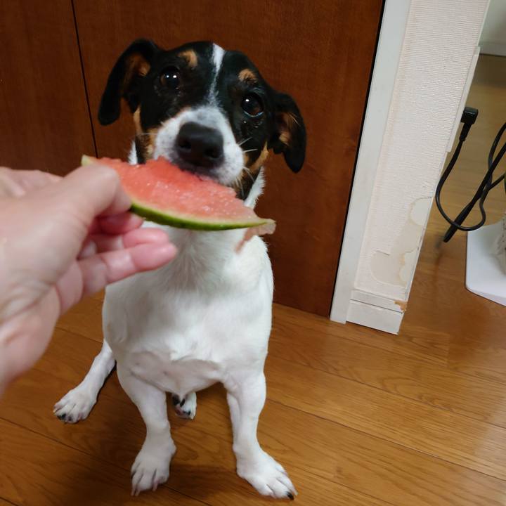 97528cd8 77ff 4a72 b081 fee7a3431794 1655689544475