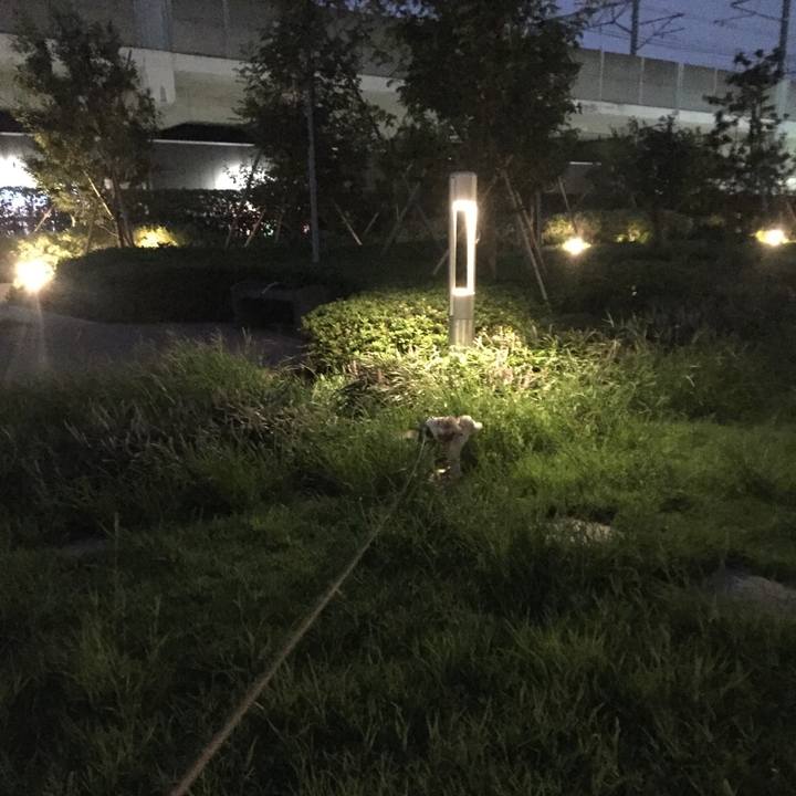 9752c457 41f2 4e28 8a36 b69c0e695eb8 1566042864549