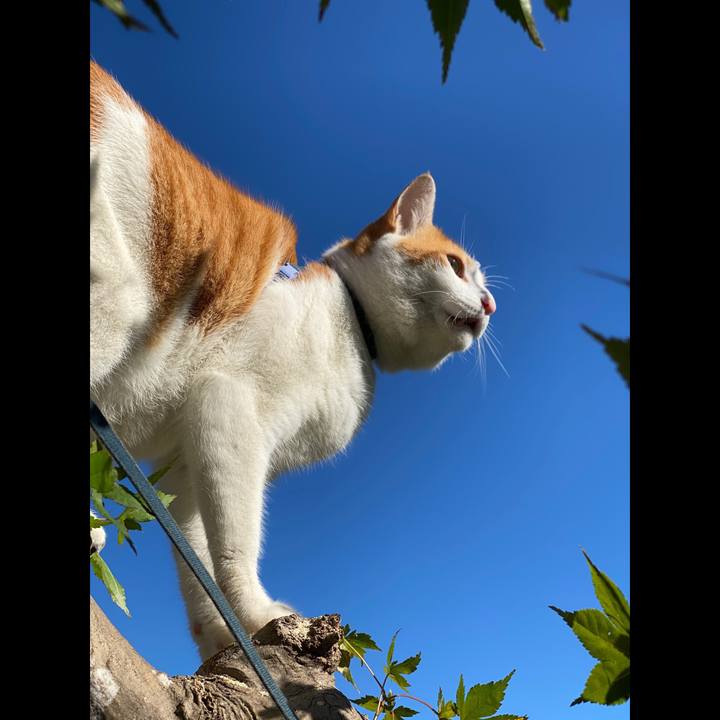 9752cffa 36f5 4d41 aab3 b4533bc3207d 1572842925490