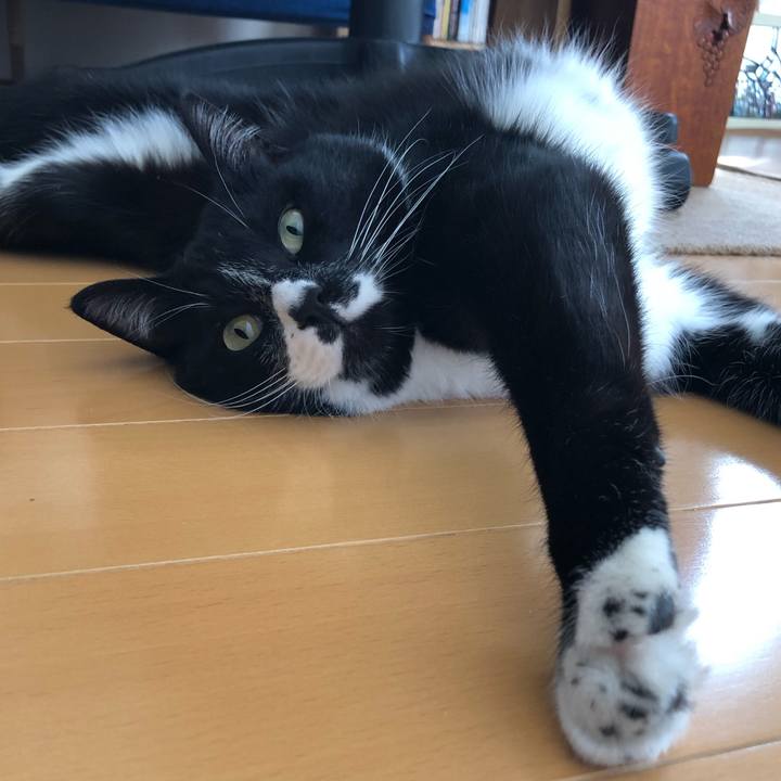 9752dc29 f584 444a 8be3 0a9135bad7e7 1551757609191