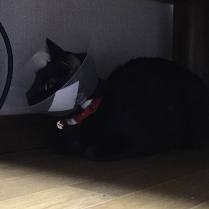 9753738f 7eeb 4ccb 91d2 a0fe94e8acc8 1534420941446