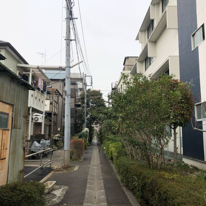 97538cce 15b9 4f2c 9c8c 832ea0457863 1617086357769