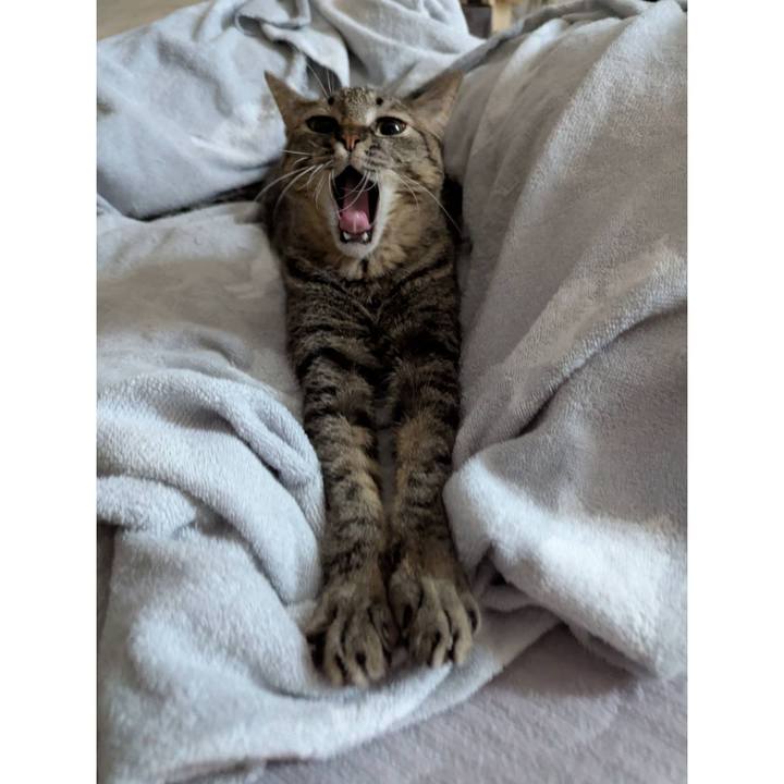 9753a454 d1be 45e3 8f6e edd122182f07 1752996774799