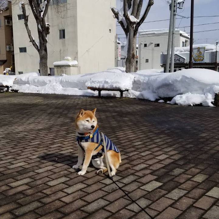 9753e24d 6580 41a1 ad3a ff423eb6a7bb 1549772648682