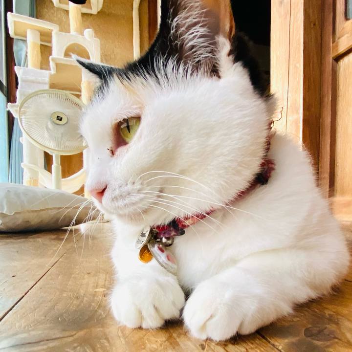 9753fb01 b2a1 4f0a 90ad 634e038e5c2a 1751371033906