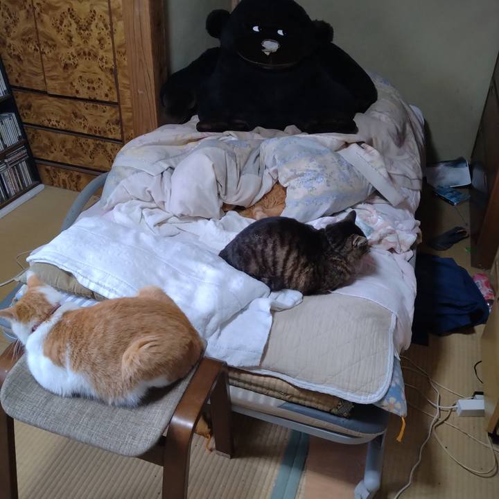 975413ce 03a6 46a2 9605 70f32bab386e 1748216905085