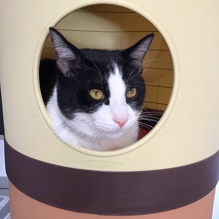 97542071 484b 44e5 a860 00fbfc9fc325 1645065295403