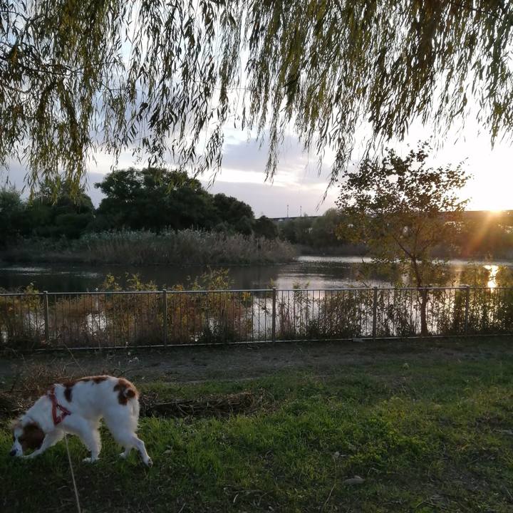 97542c53 e20f 4491 afa1 a18fb6a17b92 1603961547824