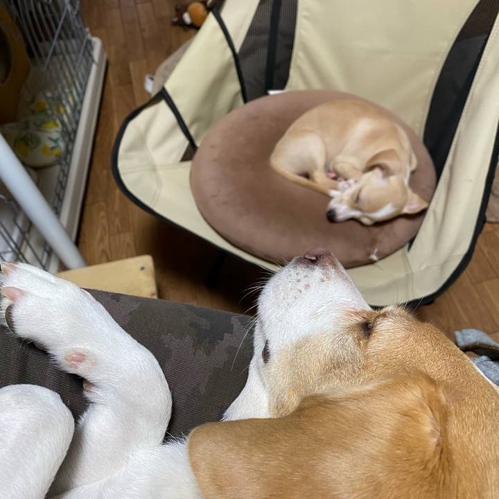 9754303d 4e67 4ccc 9020 6300fbcb6b49 1663818710290