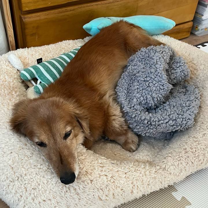 97547040 57b2 4ab7 88f8 be889f64d086 1645686995415