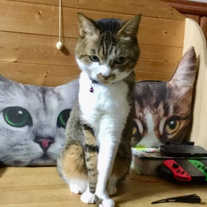 97547389 19cf 4a4d 828a 70a8d55008b3 1553699012131