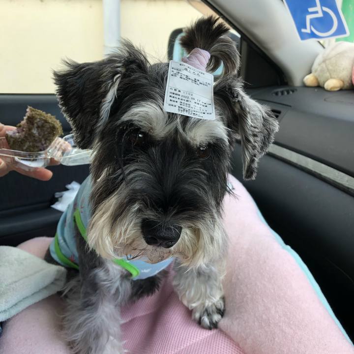 97549270 2801 46d9 86ee c7faf1094144 1663402013398