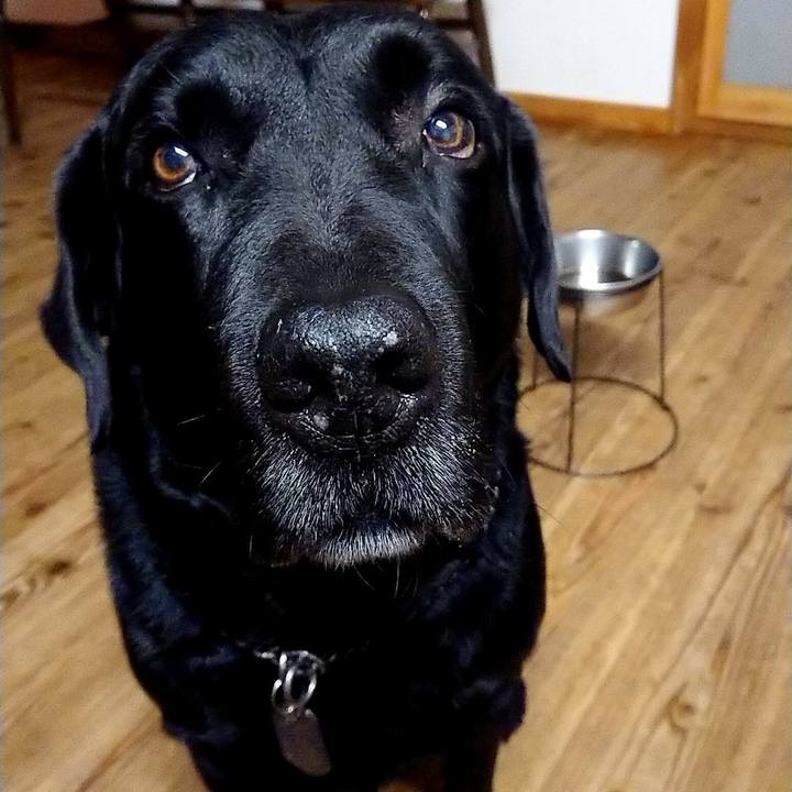 9754bbf0 d8f9 4b9a bd4c ff18eb523b1a 1673528123953