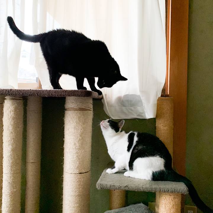 9754e2d2 148f 4c7f 8058 51719a08658b 1573696998525