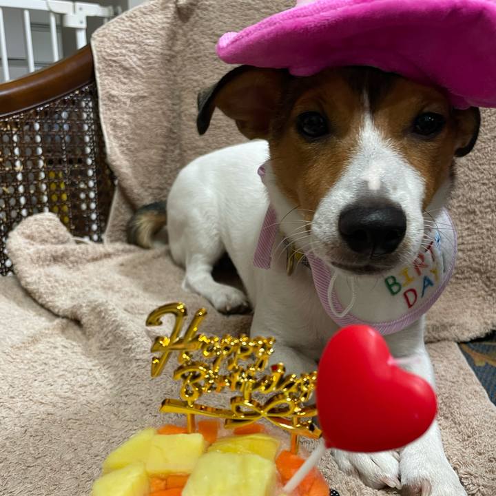 9754e42a fd34 4863 b340 611e66b5ead0 1691320895226