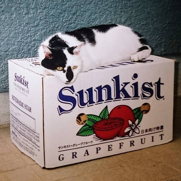 9754f835 d5ee 4f1c b8f9 ed5e54c65a13 1724380556874