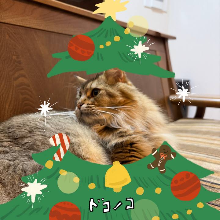 97552865 4cea 4014 947b 3a2ec92fb294 1761304623964