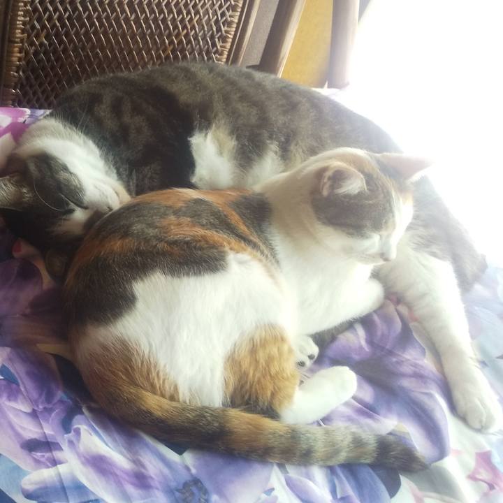 9755a64a a2c8 419d b701 e304fb61940f 1697427505493