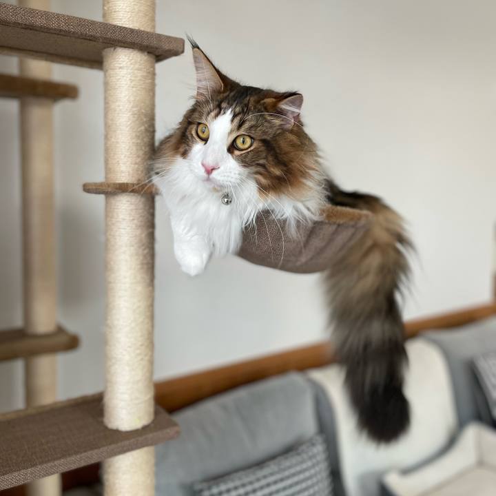 9755aed7 baad 4eb7 902d 6dafbd92a920 1646085380997