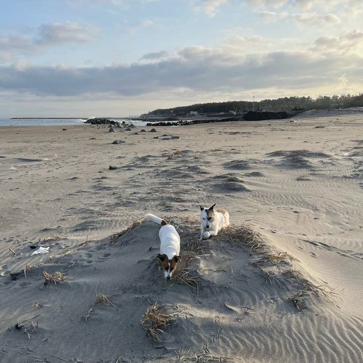 975603bb ca43 487b b1f7 d429a7a81e11 1772409454707